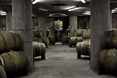 Prepotto (Carso) - In Cantina da Beniamino Zidaric