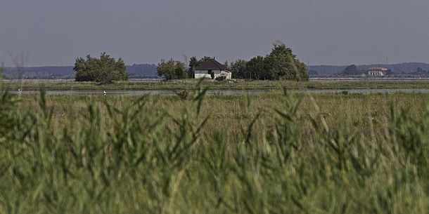 Grado lagoon