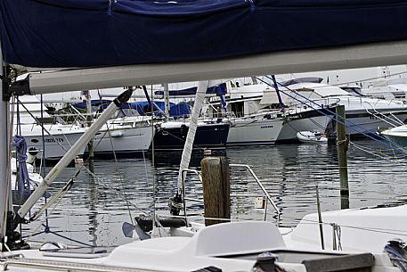 Boats moored in the harbour