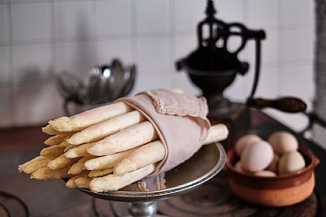 White Asparagus