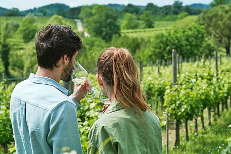 Russiz Superiore, Collio