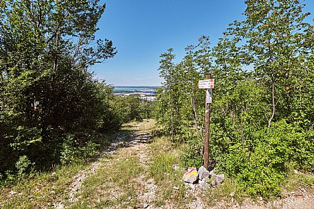 AAT 34 - Path 3 and 16