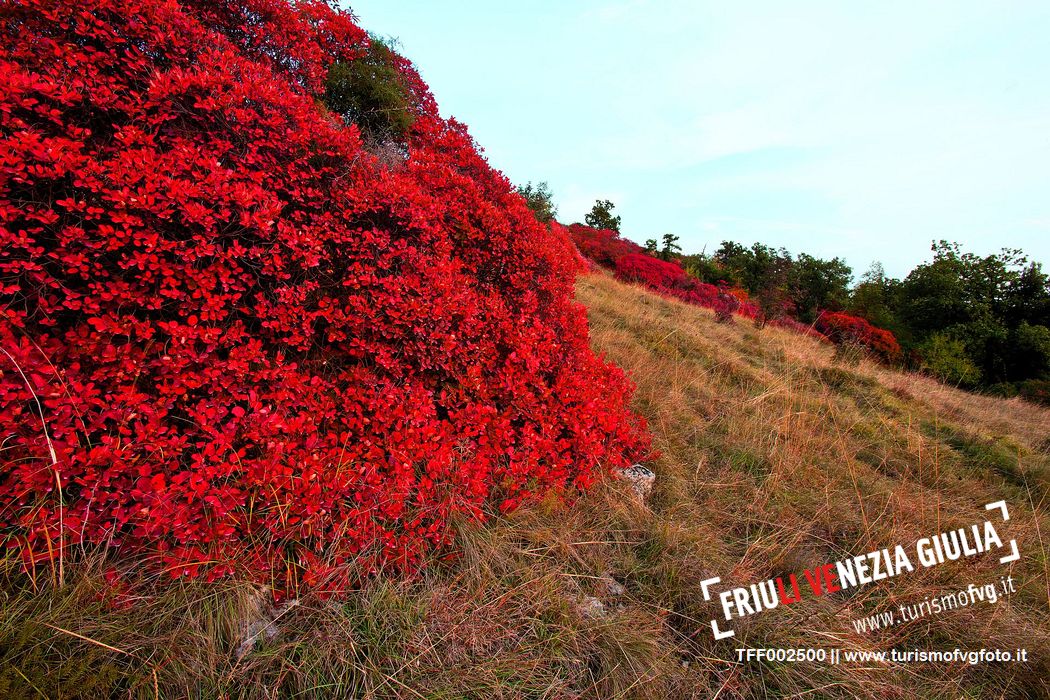 Karst in Autumn