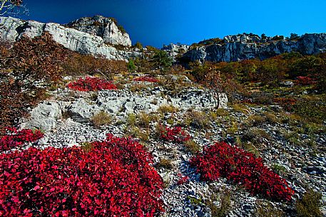 Karst in Autumn