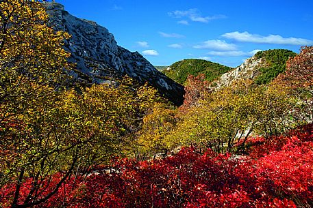 Val Rosandra