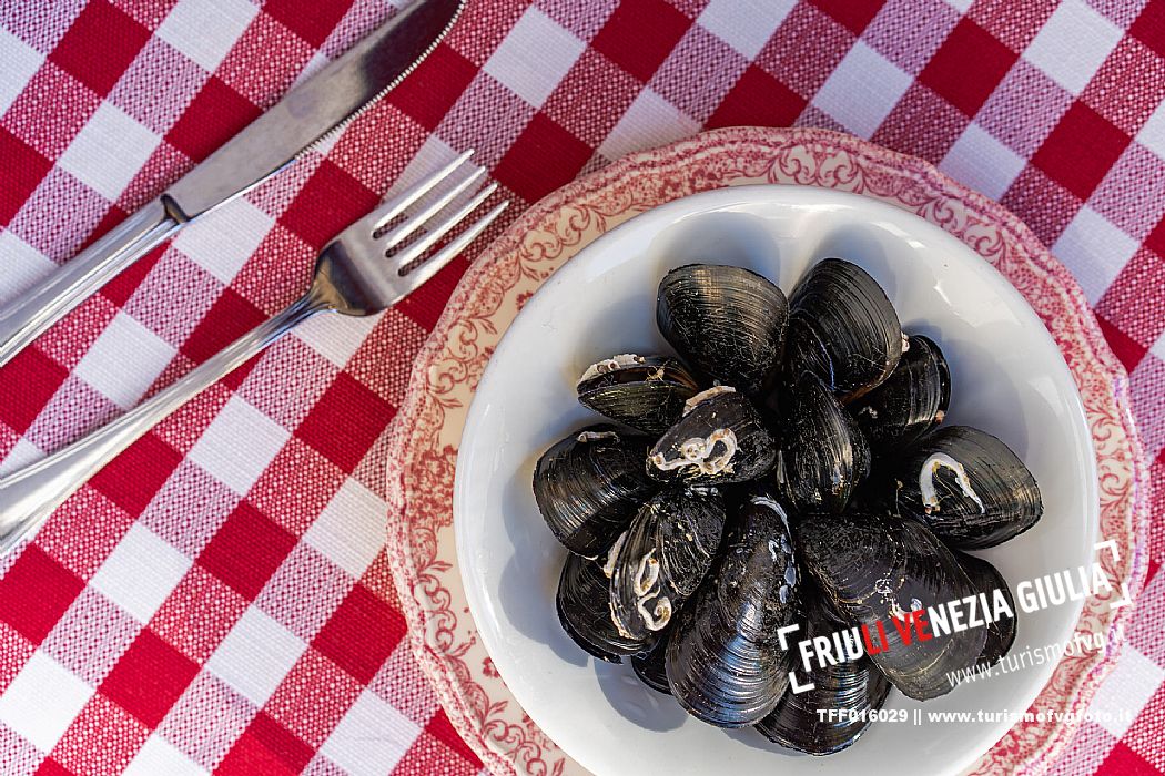 Pedocio de Trieste(Mussels)