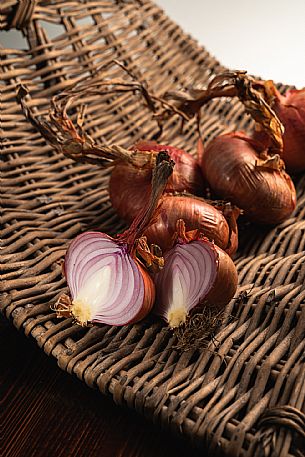 Cipolla di Cavasso e della Val Cosa