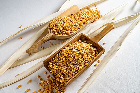 Mortegliano Corn