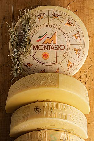 Montasio Cheese