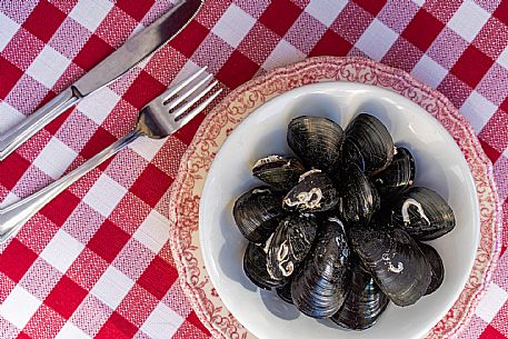 Pedocio de Trieste(Mussels)
