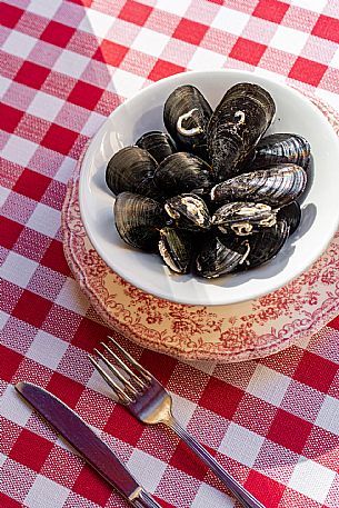 Pedocio de Trieste(Mussels)