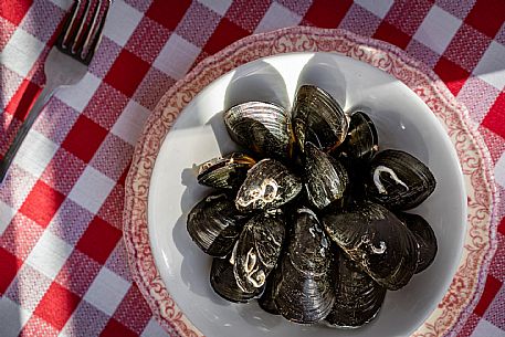 Pedocio de Trieste(Mussels)