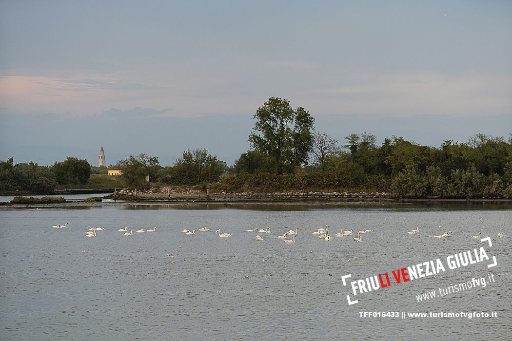 Se&Taste Grado - Aquileia