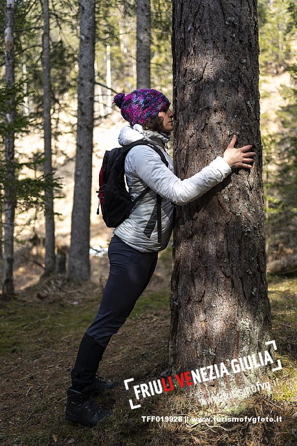 Forest Bathing - Tarvisio