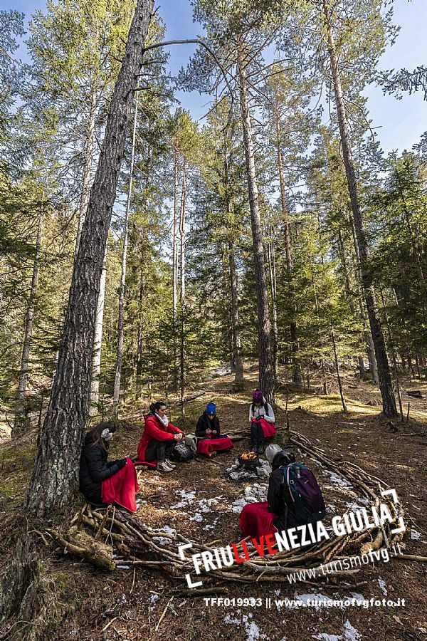 Forest Bathing - Tarvisio