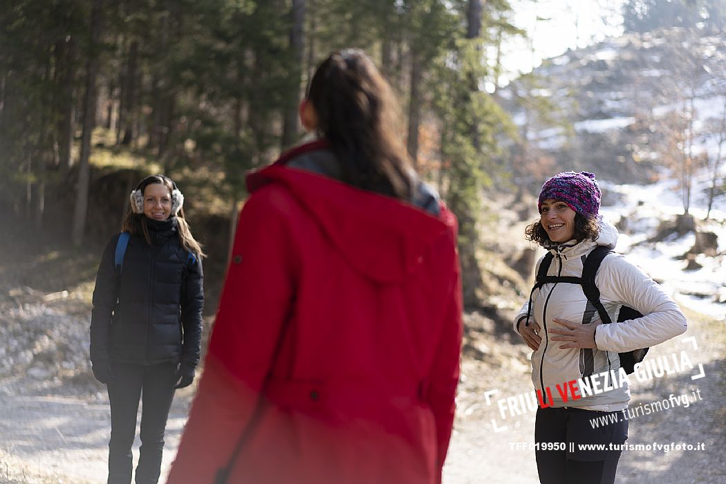 Forest Bathing - Tarvisio