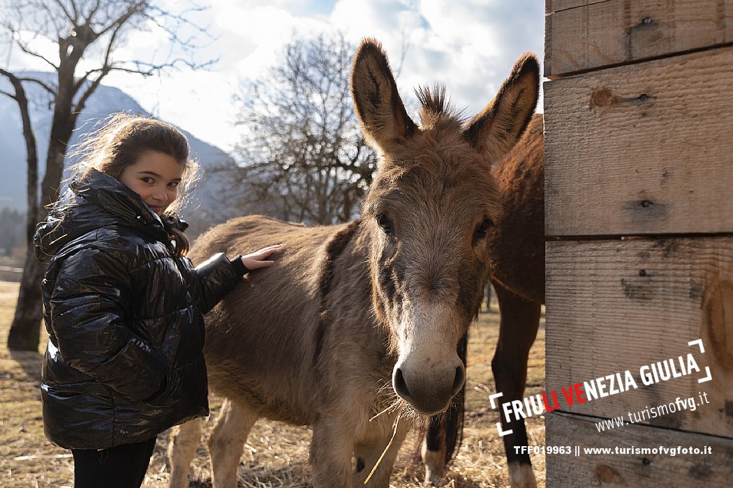 Horse Terapy - Malborghetto