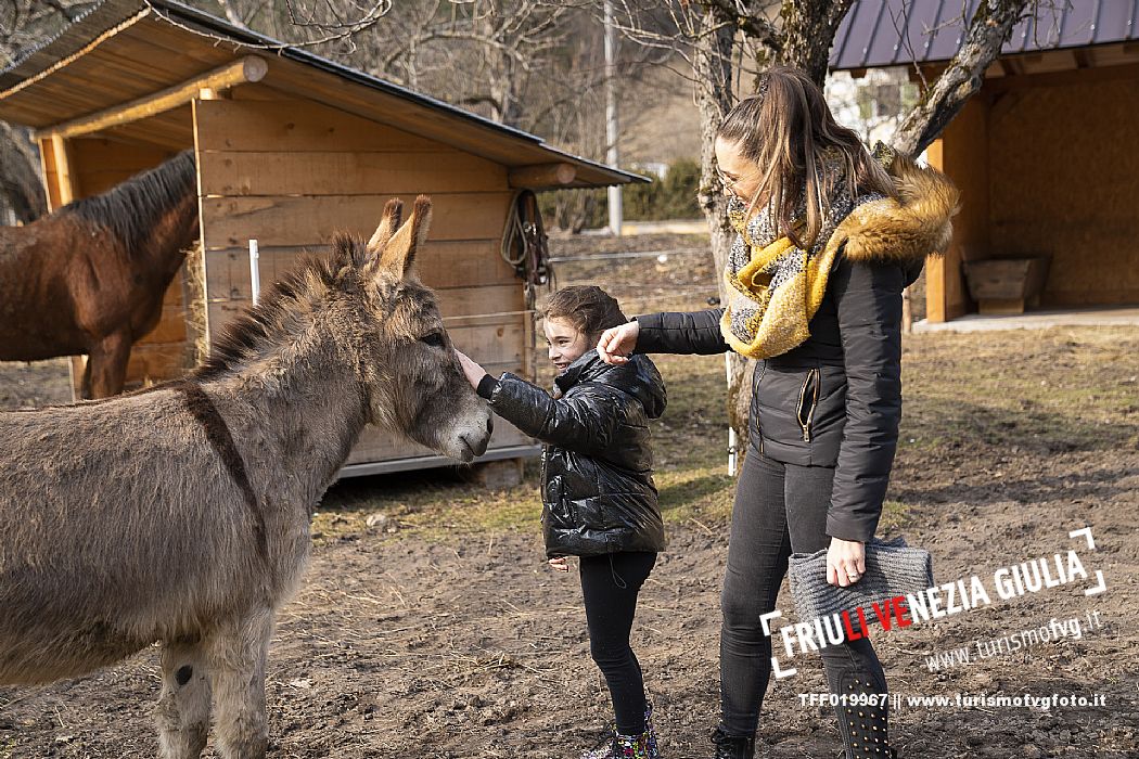 Horse Terapy - Malborghetto