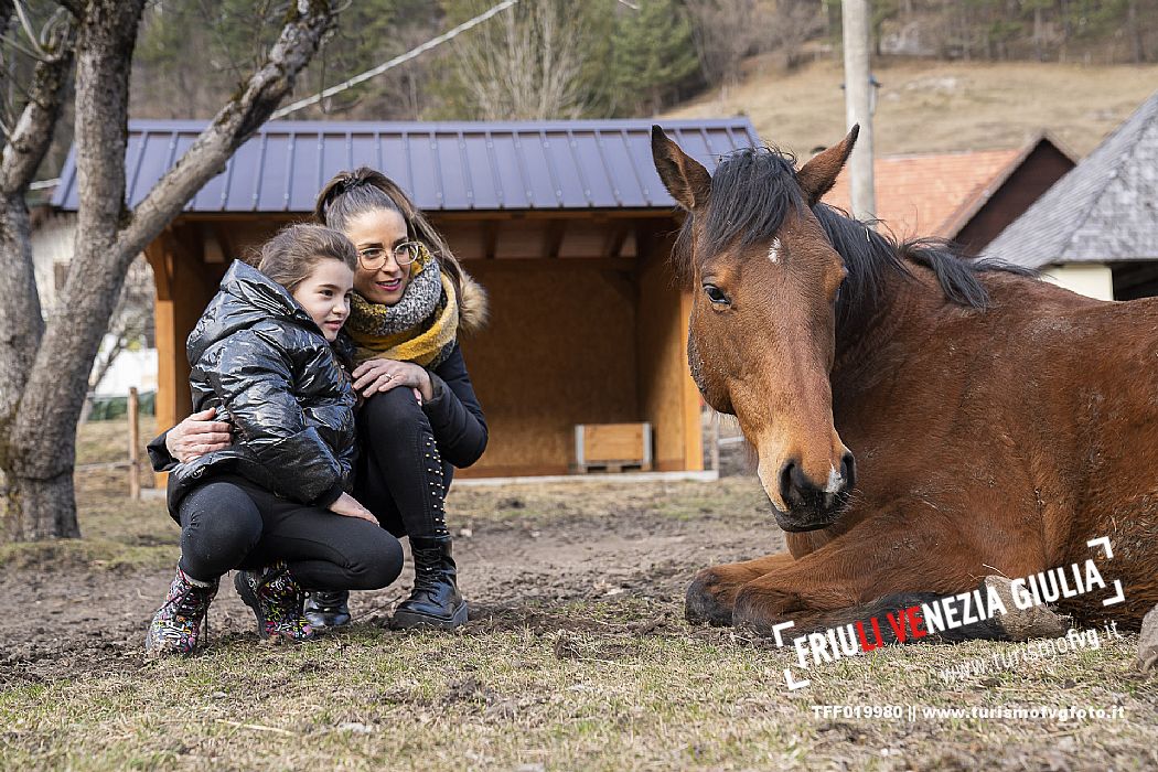 Horse Terapy - Malborghetto