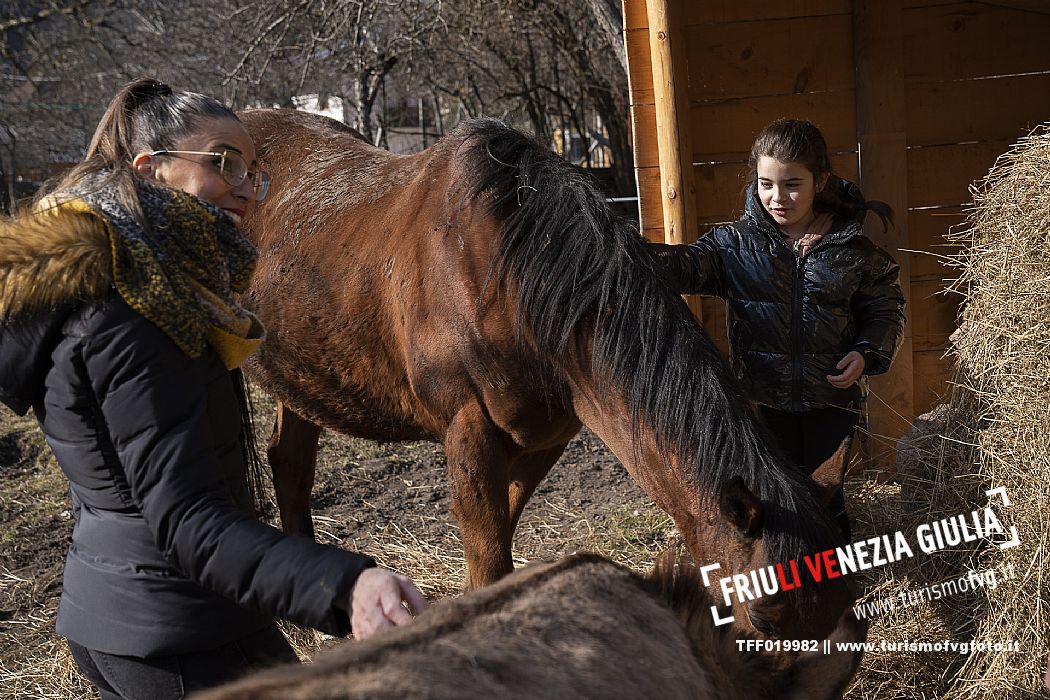 Horse Terapy - Malborghetto