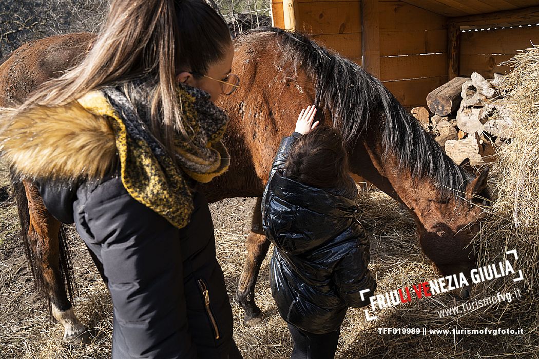 Horse Terapy - Malborghetto