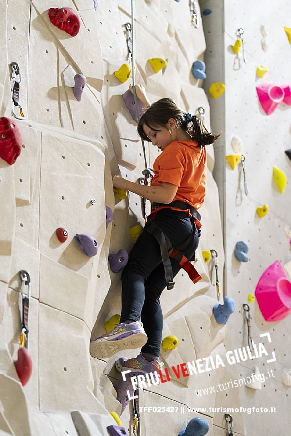 Indoor Climbing - Tarvisio