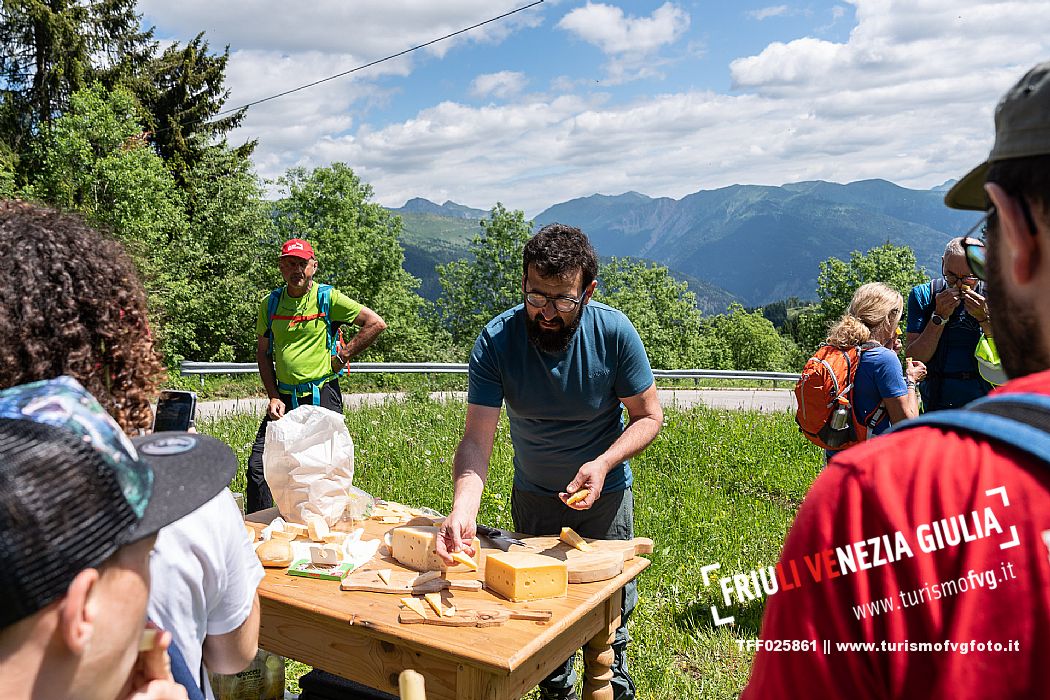 Transhumance to Monte Zoncolan