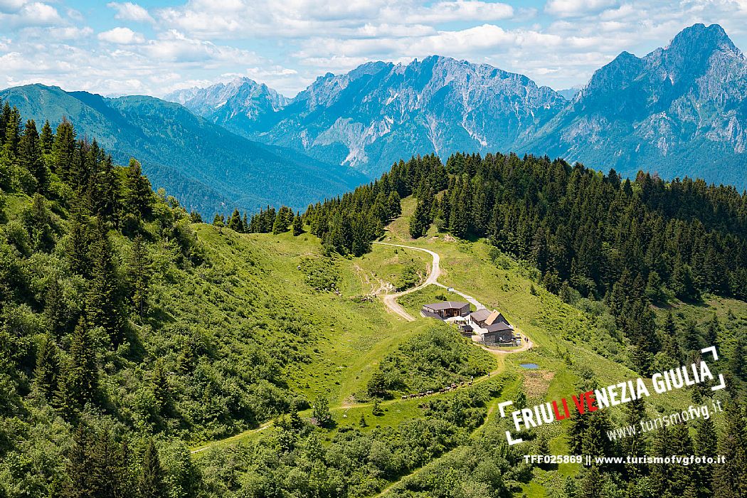 Transhumance to Monte Zoncolan