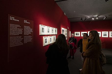 Escher Exhibition - Trieste