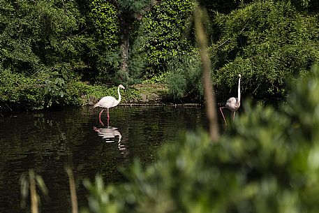 Lignano - Parco Zoo Punta Verde