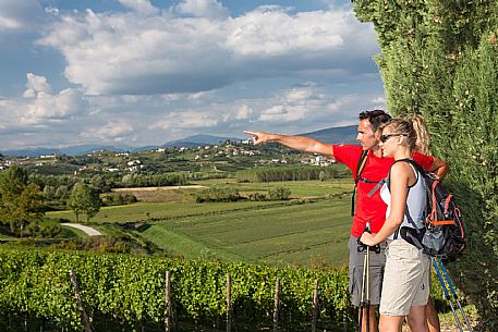 Alpe Adria Trail - Collio