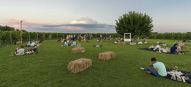 Pic & Taste nell'Azienda Vinicola Magredi