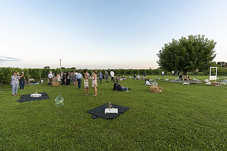 Pic & Taste nell'Azienda Vinicola Magredi