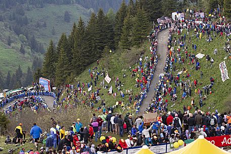 Giro d'Italia tappa Monte Zoncolan