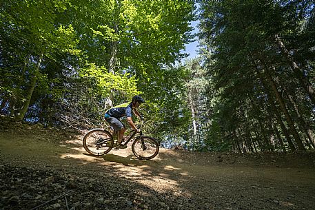 Bike Park dell'Angelo - Tarvisio