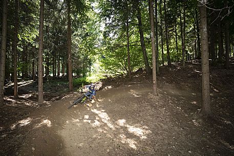 Bike Park dell'Angelo - Tarvisio