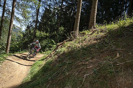 Bike Park dell'Angelo - Tarvisio