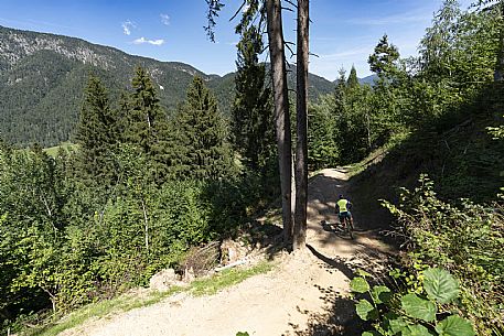 Bike Park dell'Angelo - Tarvisio