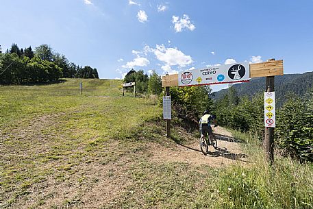 Bike Park dell'Angelo - Tarvisio