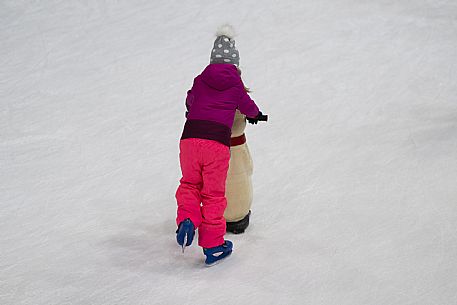 Ice Arena Claudio Vuerich - Pontebba