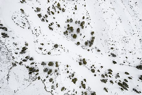 Cross Country Skiing Ring - Monte Zoncolan