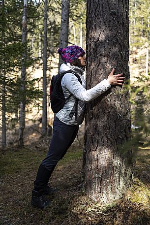 Forest Bathing - Tarvisio