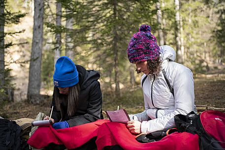 Forest Bathing - Tarvisio