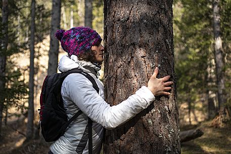 Forest Bathing - Tarvisio