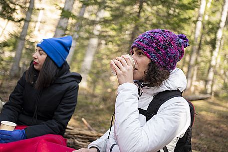 Forest Bathing - Tarvisio