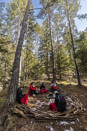 Forest Bathing - Tarvisio