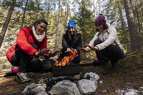 Forest Bathing - Tarvisio