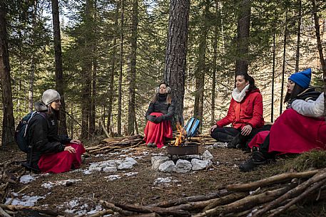 Forest Bathing - Tarvisio