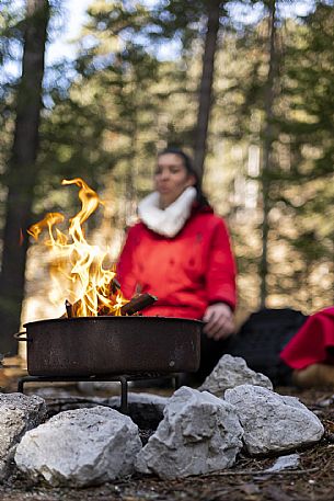 Forest Bathing - Tarvisio