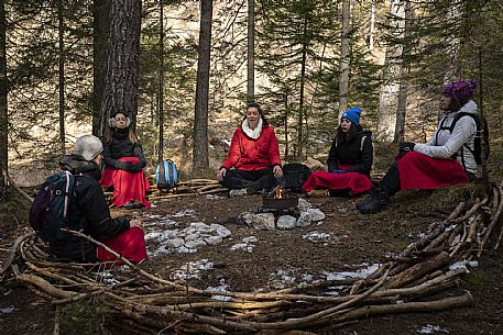 Forest Bathing - Tarvisio